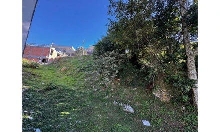 Terreno em São José, Bosque Das Mansões, Rua das Azaléias (quase essquina ) com a Rua das Laranjeiras., SC. Área: 760.32m2