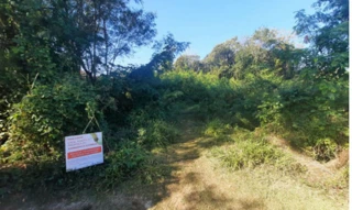 Imóvel 2936067 [''] - ["Estrada Projetada, s/n - Área 03 - Fazenda Monte D'Este - Campinas / SP"] [''] - ['Campinas']/['SP'] - 1