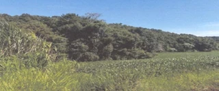 Foto de Terrenos em Leilão em Tiradentes Do Sul / RS - 2961167