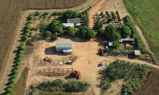 Imóvel em Querência/MT