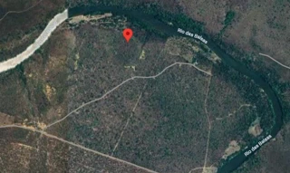 Imóvel 2915768 [''] - ['FAZENDA CAMPO BELO X (ANTIGA FAZENDA FORQUILHA), S/N, ZONA RURAL'] [''] - ['Benedito Leite']/['MA'] - 1