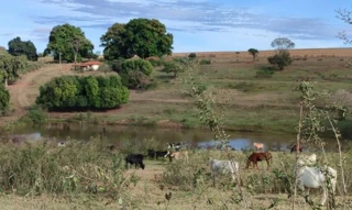 Imóvel 2611968 [''] - ['Monjolinho, s/nº - Boa Vista - Itaju / SP'] [''] - ['Itaju']/['SP'] - 1