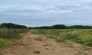 Imóvel 2862068 [''] - ['Fazenda Ilha, Área rural - Itacarambi/MG'] [''] - ['Itacarambi']/['MG'] - 1