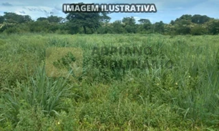 Imóvel 2497268 [''] - ['FAZENDA MUCAMBO, RIO DAS PEDRAS - Lagoa dos Patos - MG'] [''] - ['Lagoa Dos Patos']/['MG'] - 1