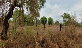 Imóvel 2646668 [''] - ['Divisa com Praça São Francisco de Asiss - Estrada Municipal Lado Oposto Eduardo Francisco de Paul, , Araçaí/MG'] [''] - ['Araçaí']/['MG'] - 1