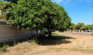 Imóvel 2598668 [''] - ['Quadra ARNO 42 Alameda 6, s/n, Lote APM-09, Conjunto QC-05, Loteamento Palmas 3ª etapa, Palmas, T, , Palmas/TO'] ['Plano Diretor Sul'] - ['Palmas']/['TO'] - 1