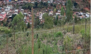 Imóvel 3056168 [''] - ['Rua José Pereira Lelles, s/n, Lote 187, Bairro Serra Verde, São Miguel do Anta, MG, 36590-000 Condições para pagamento: à vista 100% do pagamento na emissão do CCV (Contrato de Compra e Venda) Considerações: Sobre o valor arrematado considerar + 7.0 % de comissão do leilão e + 1.0 % de taxa de serviços Pagimovel® a serem pagos pelos compradores. Exibir mais Descrição Lote, Bairro Serra Verde, Desocupado, 272.80 M² de área de terreno, 272.80 M² de área total. Matrícula nº 
