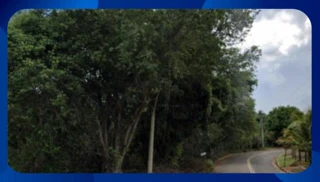 Imóvel 2634368 [''] - ['R. Barão de Capanema, 98, Garagem nº 11 - Jardim Paulista'] [''] - ['Presidente Bernardes']/['SP'] - 1