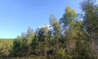 Imóvel 2601368 [''] - ['Povoado Catu da Sucupira, zona rural'] [''] - ['Itapicuru']/['BA'] - 1