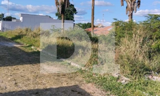 Imóvel 2978868 [''] - ['Rod. Ce 153, S/N, São Geraldo'] [''] - ['Orós']/['CE'] - 1