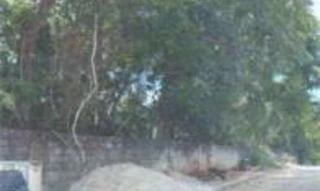 Imóvel 2864768 [''] - ['Lote 08, Quadra 16, Lot. Residencial Buriti, Rua RB 03A'] ['Res. Buritis'] - ['Senador Canedo']/['GO'] - 1