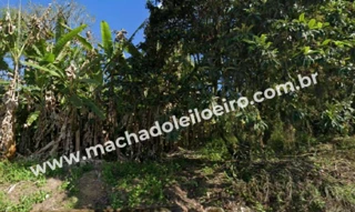 Imóvel 2816168 [''] - ['Rua Marechal Floriano Peixoto, 865'] ['Padre Martinho Stein'] - ['Timbó']/['SC'] - 1