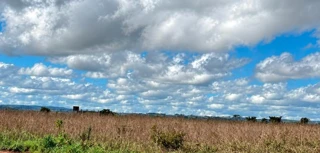 Imóvel 3053269 [''] - ['RODOVIA MT-403 - FAZENDA SANTA CLARA (GLEBA 01), S/N, ZON RURAL'] ['São Lourenço'] - ['Campo Verde']/['MT'] - 1