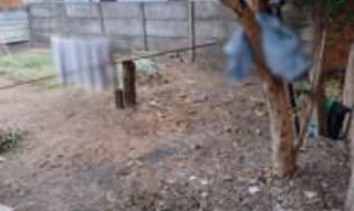 Imóvel 2709869 [''] - ['Rua Borborema, nº 549, Jardim Santa Clara'] ['Jardim Manga Larga'] - ['Novo Horizonte']/['SP'] - 1