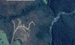 Imóvel 2808669 [''] - ['Fazenda Samburá, lugar denominado Capão dos Bastos'] [''] - ['São Roque De Minas']/['MG'] - 1