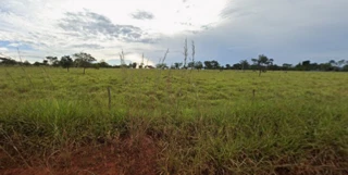 Imóvel 2980469 [''] - ['Fazenda Bonsucesso, situado no imóvel denominado Caba Vida III'] [''] - ['Niquelândia']/['GO'] - 1