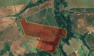 Imóvel 2883869 [''] - ['Fazenda Argentina, Oscar Bressane, SP'] [''] - ['Oscar Bressane']/['SP'] - 1