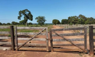 Imóvel 2898569 [''] - ['Fazenda São Benedito, 07, Lote 07, Lot Serrote, Zona Rural, Pugmil, TO, 77603-000 Condições para pagamento: à vista 100% do pagamento na emissão do CCV (Contrato de Compra e Venda) Considerações: Sobre o valor arrematado considerar + 7.0 % de comissão do leilão e + 1.0 % de taxa de serviços Pagimovel® a serem pagos pelos compradores. Exibir mais Informações adicionais Estas considerações estabelecem as condições aplicáveis à aquisição de imóveis com o Sicoob (VENDEDORA), 
