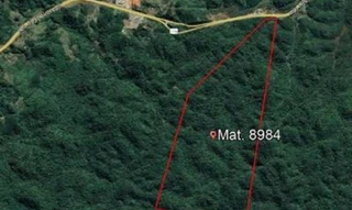 Imóvel 2663169 [''] - ['altura do KM 321, da BR 116'] [''] - ['Antonina']/['PR'] - 1