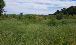 Imóvel 2724869 [''] - ['Linha Fantoni'] [''] - ['Tunas']/['RS'] - 1