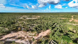 Imóvel 2703369 [''] - ['situada na Fazenda Serra das Araras'] [''] - ['Chapada Gaúcha']/['MG'] - 1