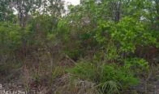 Imóvel 2689869 [''] - ['Fazenda Umburana'] [''] - ['São Desidério']/['BA'] - 1