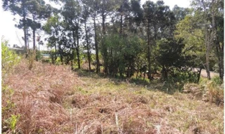 Imóvel 2922169 [''] - ['LOTE B2'] [''] - ['Dois Lajeados']/['RS'] - 1
