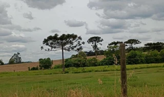 Imóvel 2615169 [''] - ['Colônia Ouro Verde S/N, Bairro Interior'] [''] - ['Bela Vista Do Toldo']/['SC'] - 1