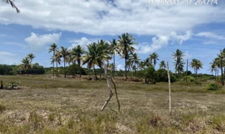 Imóvel 2275469 ['IDR184630'] - ["Estrada do Abais, s/n, Quadra 104, Lote 12, Loteamento Vila Rica do Abais, Itaporanga D'Ajuda, SE, 49120-000"] [''] - ["Itaporanga D'Ajuda"]/['SE'] - 1