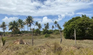 Imóvel 2275469 ['IDR184630'] - ["Estrada do Abais, s/n, Quadra 104, Lote 12, Loteamento Vila Rica do Abais, Itaporanga D'Ajuda, SE, 49120-000"] [''] - ["Itaporanga D'Ajuda"]/['SE'] - 1