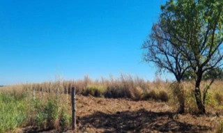 Imóvel 2716169 [''] - ['Rodovia TO-050, 309, Lote 309, Loteamento Córrego Prata, Polo de Fruticultura Irrigada São João,, , Porto Nacional/TO'] [''] - ['Porto Nacional']/['TO'] - 1