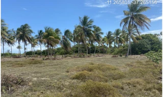 Imóvel 2955569 [''] - ["Rodovia Camilo Calazans de Magalhães (Estrada do Abais), s/nº - Quadra 68, Lote 02 - Loteamento Vila Rica do Abais - Itaporanga d'Ajuda / SE"] [''] - ["Itaporanga D'Ajuda"]/['SE'] - 1