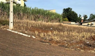 Imóvel 2603969 [''] - ['Nao informado Nao informado'] [''] - ['Xanxerê']/['SC'] - 1