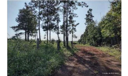 Terreno em Guarapuava, , Gleba Samambaia, PR. Área: 8m2