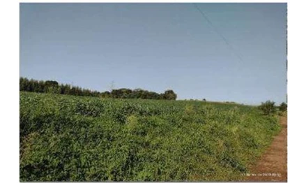 Terreno em Guarapuava, , Gleba Samambaia, PR. Área: 8m2 - imagem 0