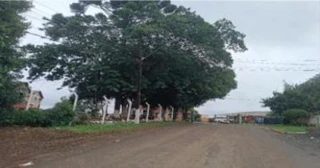 Imóvel 2679169 [''] - ['Terreno Parte do Lote nº 59, situado na "Colônia Agrícola Jordão", em Guarapuava/PR, com a area de 7.500,00m² - CEP 85010-000'] ['Bonsucesso'] - ['Guarapuava']/['PR'] - 1