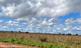 Imóvel 3053270 [''] - ['RODOVIA MT-403 - FAZENDA SANTA CLARA (GLEBA 02), S/N, ZONA RURAL'] ['São Lourenço'] - ['Campo Verde']/['MT'] - 1