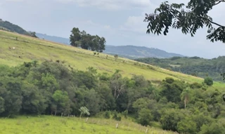 Imóvel 2953570 [''] - [', S/N - INTERIOR'] [''] - ['São Pedro Do Sul']/['RS'] - 1