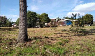 Imóvel 3054470 [''] - ['Rua Kuniberto Kolb, 270 - Sítio dos Rauen - Rio Negro / PR'] [''] - ['Rio Negro']/['PR'] - 1