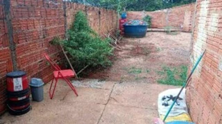 Imóvel 2953370 [''] - ['Rua Gustavo Campanha, 101, Vila Santa Helena, São Manuel, SP'] ['Jardim Açaí'] - ['São Manuel']/['SP'] - 1