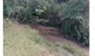 Imóvel 2949670 [''] - ['Fazenda Taquarizinho'] [''] - ['Orizona']/['GO'] - 1
