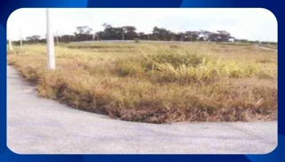 Imóvel 2613970 [''] - ['Retiro da Cachoeira ou Pico de Itabira - Área Rural de Nova Lima'] [''] - ['Nova Lima']/['MG'] - 1