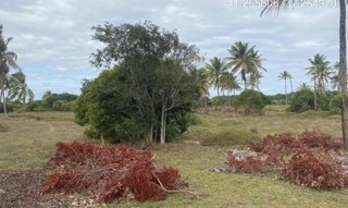 Imóvel 2275470 ['IDR184634'] - ["Estrada do Abais, s/n, Quadra 104, Lote 16, Loteamento Vila Rica do Abais, Itaporanga D'Ajuda, SE, 49120-000"] [''] - ["Itaporanga D'Ajuda"]/['SE'] - 1