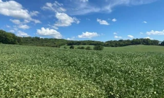 Imóvel 2563570 [''] - ['Lote de Terras sob nº 40-B-1'] [''] - ['Marialva']/['PR'] - 1