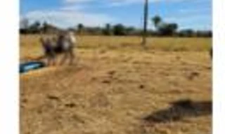 Imóvel 2629370 [''] - ['Molha Biscoito, Jussara'] [''] - ['Jussara']/['GO'] - 1