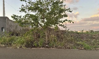 Imóvel 2555870 ['8444430140151'] - ['RUA ROSENEIDE LIMA LINO GONCALVES,N. SN LT 17 QD 08, RESIDENCIAL COLINA AZUL - CEP: 15086-615, SAO JOSE DO RIO PRETO - SAO PAULO'] ['Colina Azul'] - ['São José Do Rio Preto']/['SP'] - 1