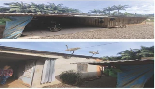 Imóvel 2540670 [''] - [''] [''] - ['Vitor Meireles']/['SC'] - 1