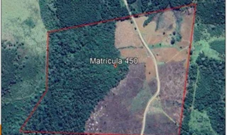 Imóvel 2991970 [''] - ['situado no Imóvel "Faxinal dos Rodrigues ou São Domingos"'] [''] - ['Inácio Martins']/['PR'] - 1
