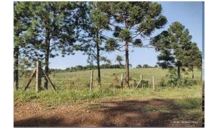Terreno em Guarapuava, , Gleba Samambaia, Município de Guarapuava/PR, PR. Área: 79600m2