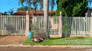 Imóvel 2400571 ['1555531774052'] - ['VIELA UM,N. SN QD 18, LT 10, SAO MARTINHO - CEP: 86609-000, ROLANDIA - PARANA'] [''] - ['Rolândia']/['PR'] - 1